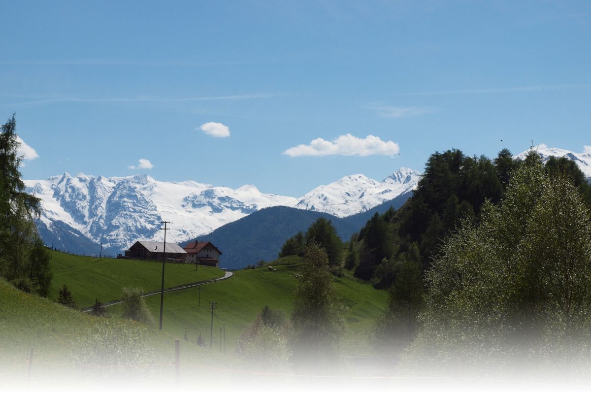 Schlosshof Schlosshof