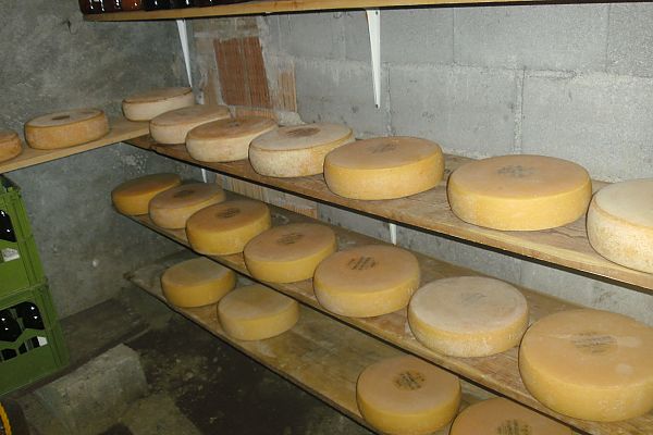 Unser Almkäse