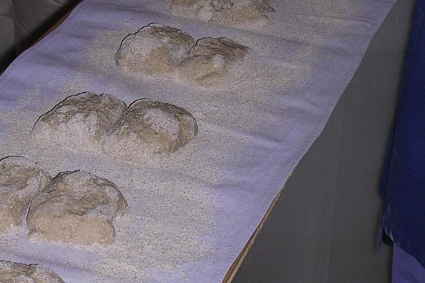 Paarlan formen und aufgehen lassen