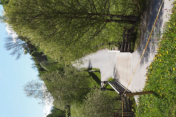 Hofzufahrt Hofzufahrt