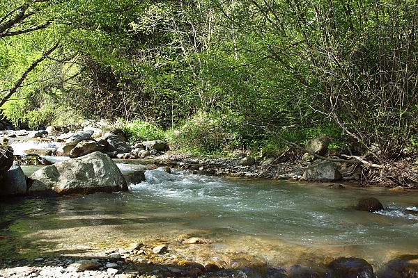 Bachbet vom Saldurbach Bachbet vom Saldurbach